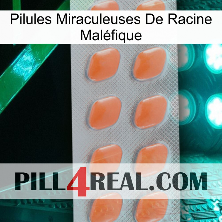 Pilules Miraculeuses De Racine Maléfique 26